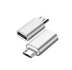 Адаптер Type C/Micro Silver