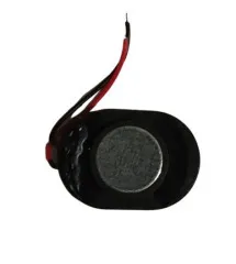 Buzzer 24X12. Фото 3