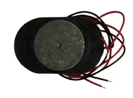 Buzzer 24X14. Фото 3