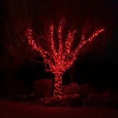На вулицю шнурок (білий кабель) good 100 Led Red  10м. Фото 4