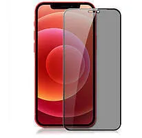 Захисне скло iPhone 12 Mini Privacy 360 5D Black. Фото 2