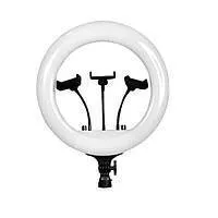 Лампа-кільце RL14 35cm (3 тримачі, без підставки)