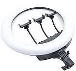 Лампа-кільце LJJ18 45cm (3 тримачі, без підставки). Фото 3