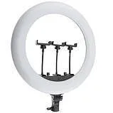 Лампа-кільце Neepho NP-18 (3 тримача, без підставки) Black. Фото 2