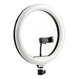 Лампа-кільце QX330 33cm (з тримачем, без підставки). Фото 2